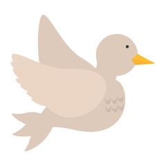 dove bird love wedding symbol icon vector illustration eps 10