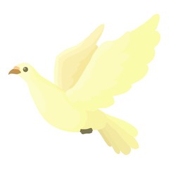 Fototapeta na wymiar Dove icon. Cartoon illustration of dove vector icon for web