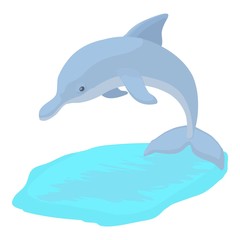 Dolphin icon. Cartoon illustration of dolphin vector icon for web
