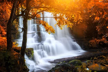 Deurstickers beautiful waterfall in rain forest, Thailand © cakeio