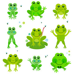 Naklejka premium Cute frogs and toads. Vector illustration