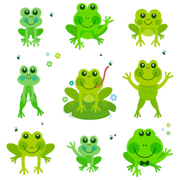 Cute frogs and toads. Vector illustration