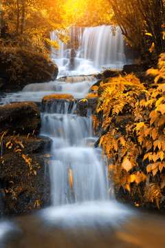 Fototapeta beautiful waterfall in rain forest, Thailand