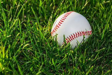 Baseball Ball on Grass Field