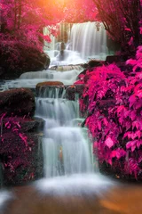 Fotobehang beautiful waterfall in rain forest, Thailand © cakeio