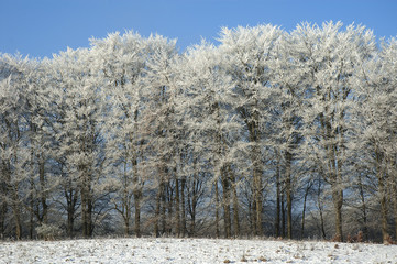 Zima na Pojezierzu Drawskim