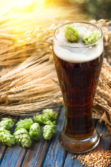Beer malt hops, background