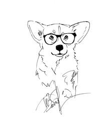 The dog . Graphics, handmade. Breed Welsh Corgi Pembroke. Design veterinary.- 127898240