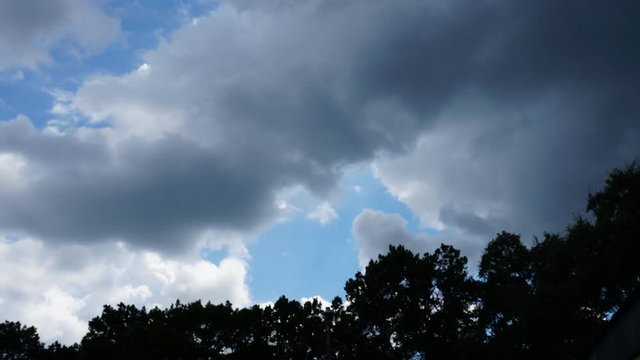 Time lapse of large dark clouds rolling by trees 