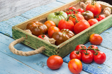 Set of different sorts of red tomatoes
