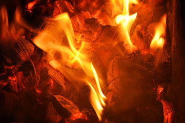 tongues of flame on the burning coals.