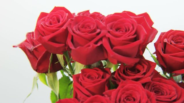 Red Roses Rotating on White Background