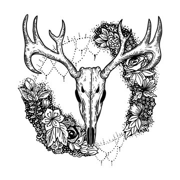 stylized Deer Skull and flowers hand drawn original illustration. design for clothing print, postcards, cards, cover, tattoo design bohemian boho outline style. isolated on white background