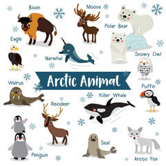 Arctic Animal cartoon on white background with animal name. Penguin, Polar Bear, Reindeer. Walrus. Moose. Snowy Owl. Arctic Fox. Eagle. Killer whale. Bison. Seal. Puffin. Narwhal. Vector illustration. © natchapohn