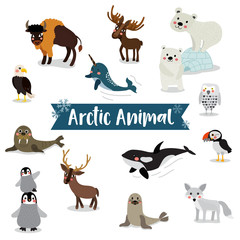 Arctic Animal cartoon on white background. Penguin, Polar Bear, Reindeer. Walrus. Moose. Snowy Owl. Arctic Fox. Eagle. Killer whale. Bison. Seal. Puffin. Narwhal.  Vector illustration. © natchapohn