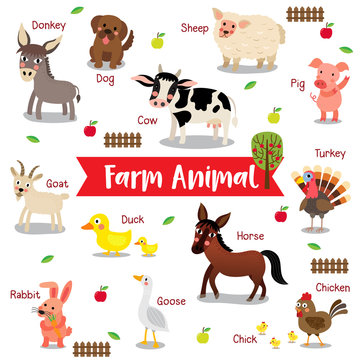 Farm Animal cartoon on white background with animal name. Goat. Chicken. Chick. Goose. Donkey. Sheep. Horse. Duck. Rabbit. Pig. Dog. Cow. Turkey. Vector illustration.