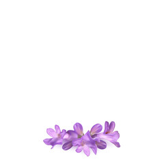 Lavender flowers card