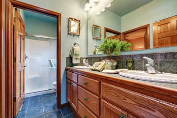 Bathroom interior with double sink vanity cabinet