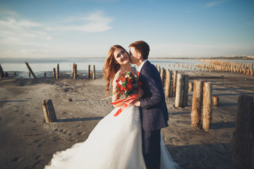 Fototapeta na wymiar Elegant stylish happy wedding couple, bride, gorgeous groom on the background of sea and sky