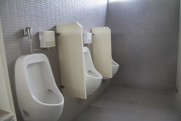 Group of white urinals in the restroom.