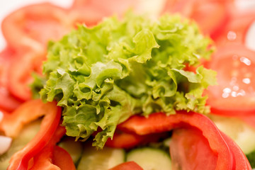 Close up of green lettuce