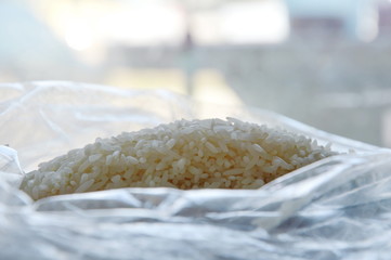 Thai jasmine rice paddy in plastic bag