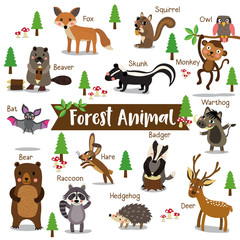 Forest Animal cartoon on white background with animal name. Bat. Owl. Fox. Deer. Bear. Raccoon. Monkey. Squirrel. Hedgehog. Skunk. Warthog. Beaver. Hare. Badger. Vector illustration.