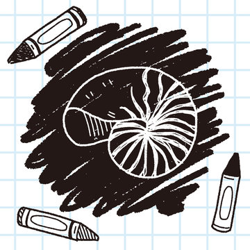shell doodle