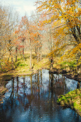 Fototapeta na wymiar Little lake in autumn park