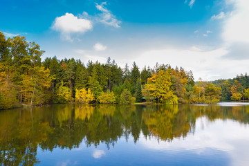 Fototapeta premium Svycar Pond - Voderady,Czech Republic
