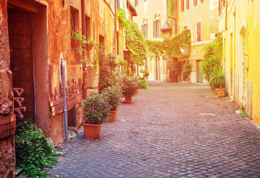 Fototapeta view of old town italian street in Trastevere with sunshine, Rome, Italy