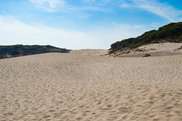 Fototapeta na wymiar Dunes beach Bolonia Cadiz Spain