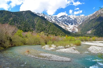 Naklejka na ściany i meble Azusa river in spring, Nagano, Japan