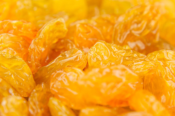 Raisins yellow closeup background. Heap of shiny golden yellow raisins dried fruit.