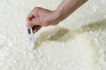 Cheesemaker measuring temperature with thermometer in a large steel tank full of milk