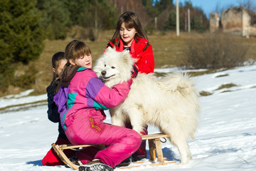 Group of children playing with samoyed dog on the snow