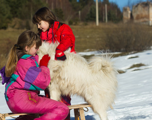 Group of children playing with samoyed dog on the snow