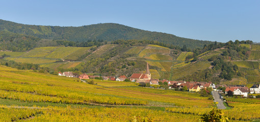 Niedermorschwih, Alsatian vineyards, Alsace, France, Europe, Autumn, Mountain,