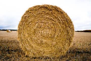 Scotland in November