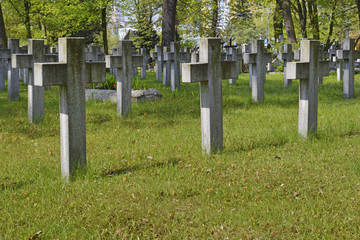 Croci nel cimitero.