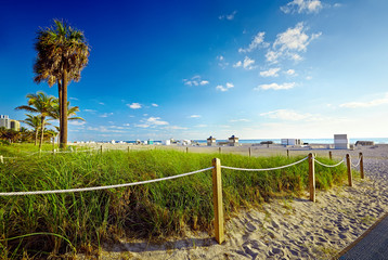 Pathway with coconut palm to the beach in Miami Beach, USA.