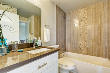 Fototapeta na wymiar White bathroom with gray and brown tile wall trim