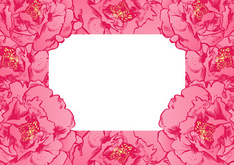 Hand-drawing peonies.  graphic flowers. Decorative background for cards, invitations. Template greeting card.