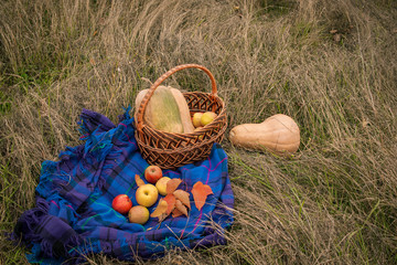 Decoration of pumpkins , apples,autumn leaves and basket on blue plaid