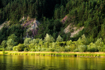 Forest and rocks reflected in river Dunajec, Slovakia