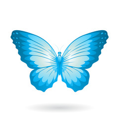 Colorful Butterfly Illustration
