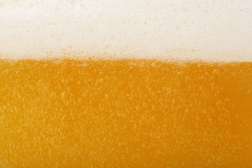 ビール　イメージ　Beer image