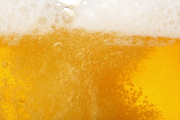 ビール　イメージ　Beer image