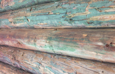 wooden wall made of logs with mold