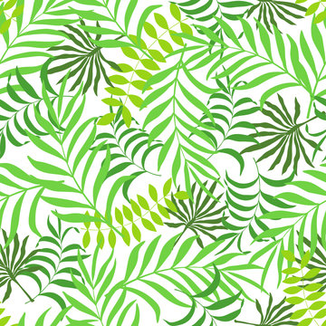 Seamless pattern with hand-drawn tropical leaves © bell1982